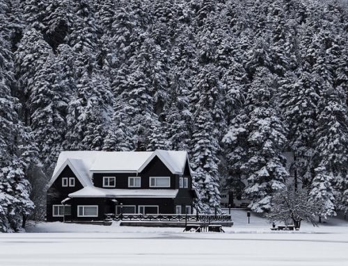 Je huis winterklaar maken: Hier moet je op letten als je haardhout wil kopen