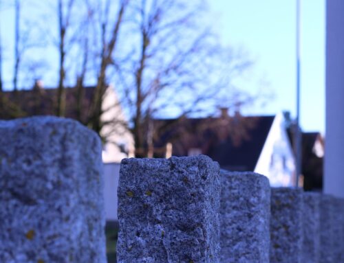 Maak kennis met betonnen boordstenen voor in je tuin